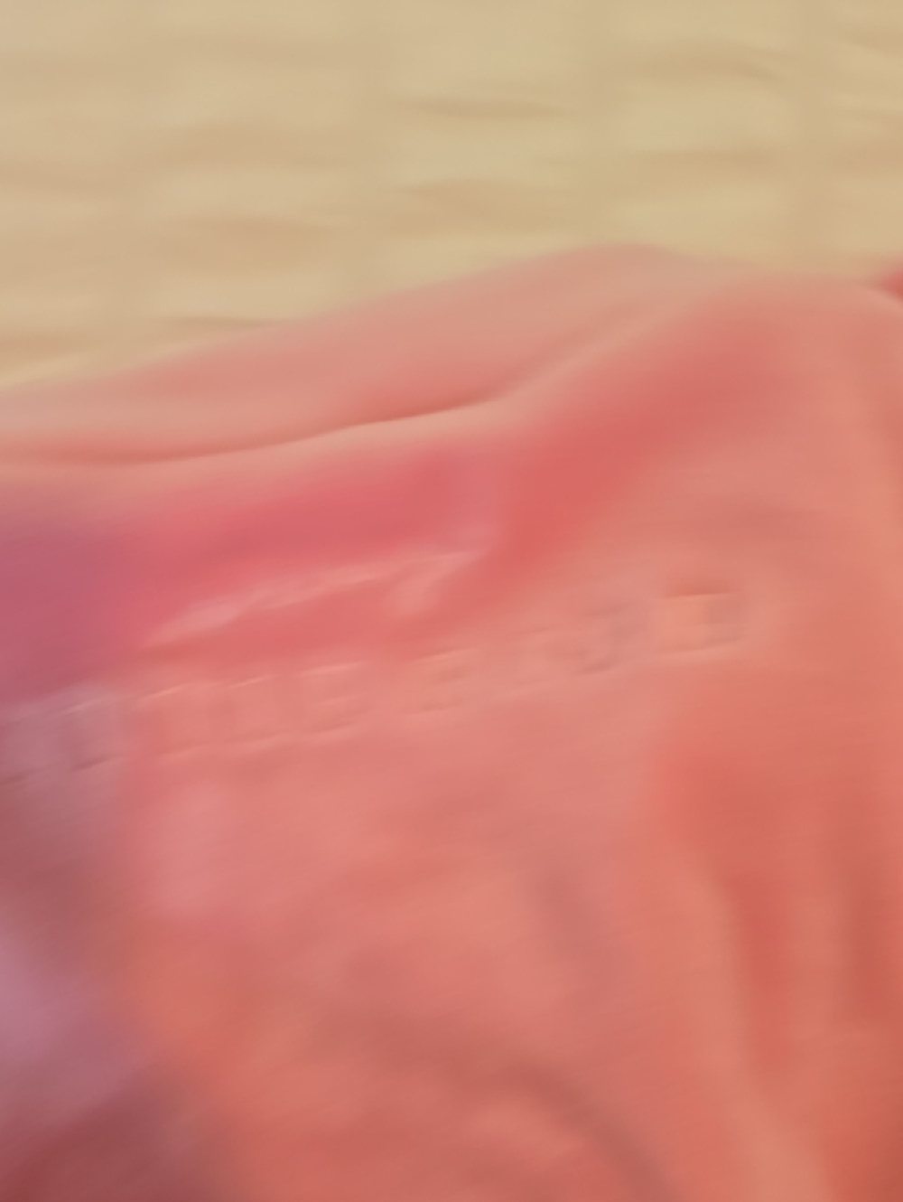 Light Pink Velour Wrap Robe with Embroidered Logo Sexy Little Robe. - Picture 4 of 4